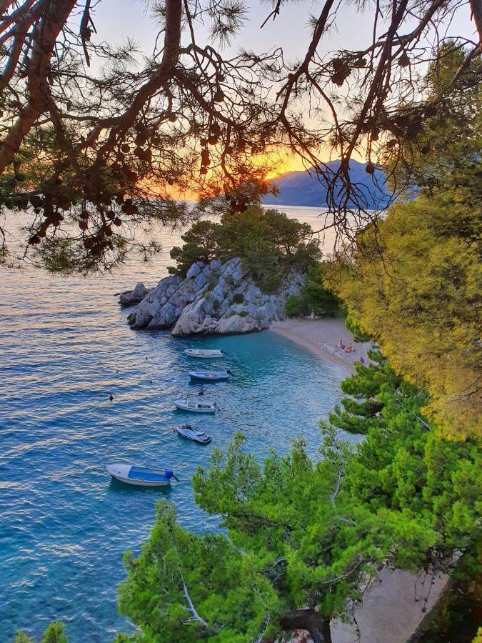 Ferienwohnung Seaview Sveti Filip i Jakov Exterior foto